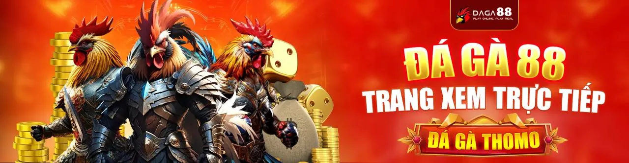 Tin tức ibet68 link mới 2026, cập nhật nhanh chóng
