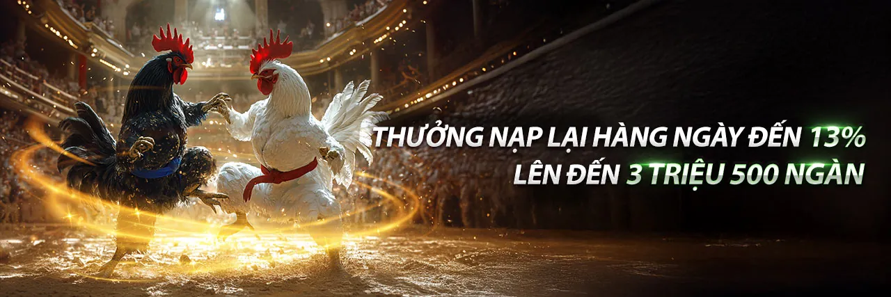 Chương trình VIP độc quyền